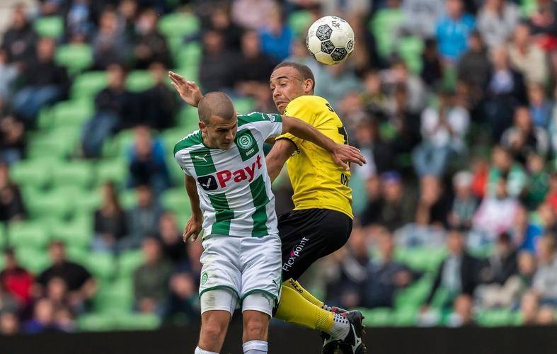 极大地丰富 极大地丰富